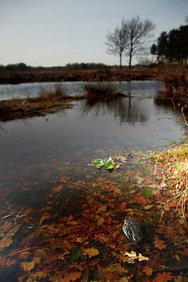 BUITEN BEELD Foto: 76163