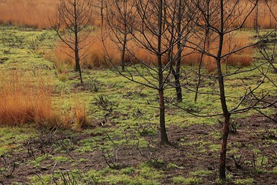 BUITEN BEELD Foto: 76170