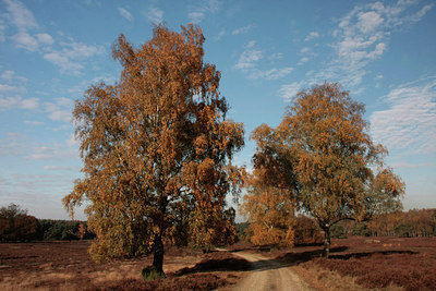 BUITEN BEELD Foto: 76175