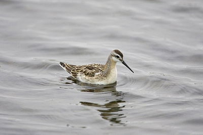 BUITEN BEELD Foto: 76190