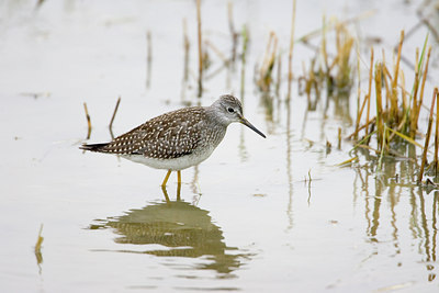 BUITEN BEELD Foto: 76193