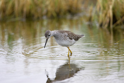 BUITEN BEELD Foto: 76202