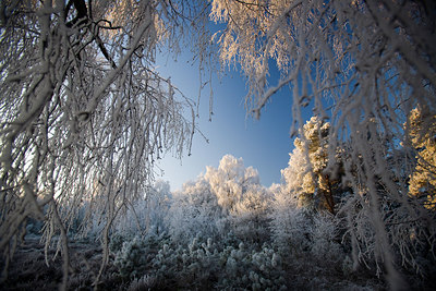 BUITEN BEELD Foto: 76218