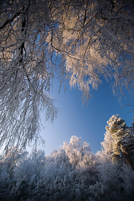 BUITEN BEELD Foto: 76219