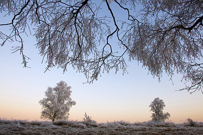 BUITEN BEELD Foto: 76221