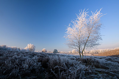 BUITEN BEELD Foto: 76222