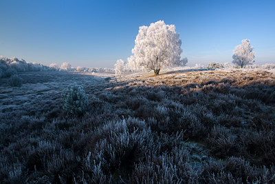 BUITEN BEELD Foto: 76226