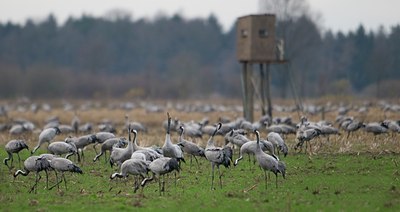 BUITEN BEELD Foto: 76290