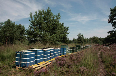 BUITEN BEELD Foto: 76347