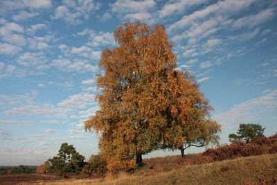 BUITEN BEELD Foto: 76355