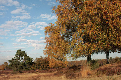 BUITEN BEELD Foto: 76357