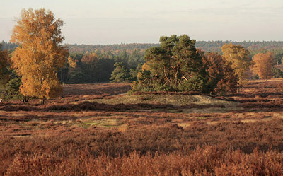 BUITEN BEELD Foto: 76358