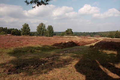 BUITEN BEELD Foto: 76359