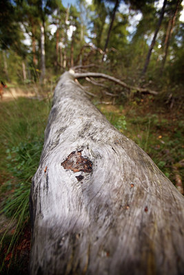 BUITEN BEELD Foto: 76450