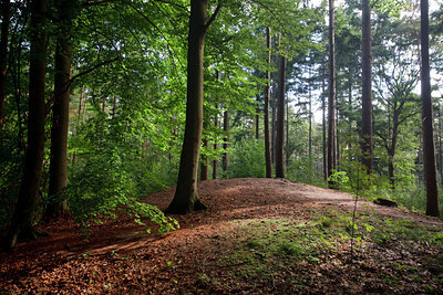 BUITEN BEELD Foto: 76458