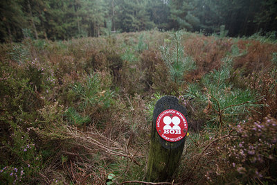 BUITEN BEELD Foto: 76470