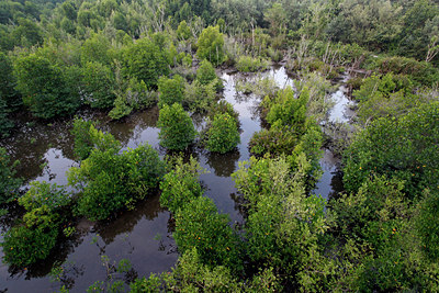 BUITEN BEELD Foto: 76538