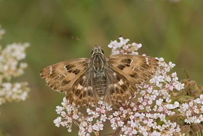 BUITEN BEELD Foto: 76547