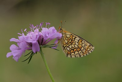 BUITEN BEELD Foto: 76558