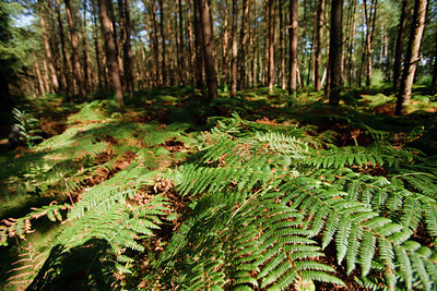 BUITEN BEELD Foto: 76559