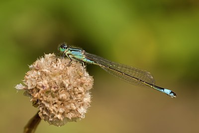 BUITEN BEELD Foto: 76569