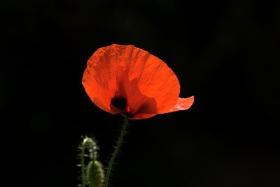 BUITEN BEELD Foto: 76601