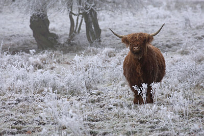 BUITEN BEELD Foto: 76694