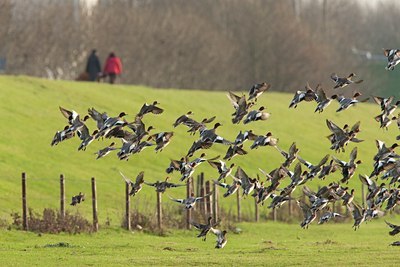 BUITEN BEELD Foto: 76713