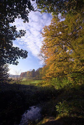 BUITEN BEELD Foto: 76726
