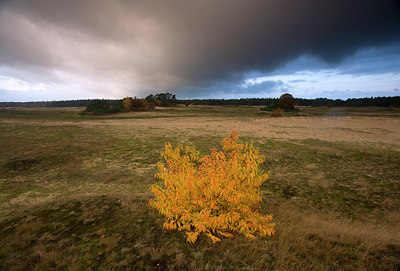 BUITEN BEELD Foto: 76738