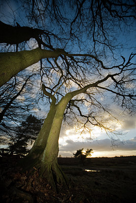 BUITEN BEELD Foto: 76740