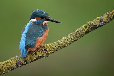BUITEN BEELD Foto: 76743