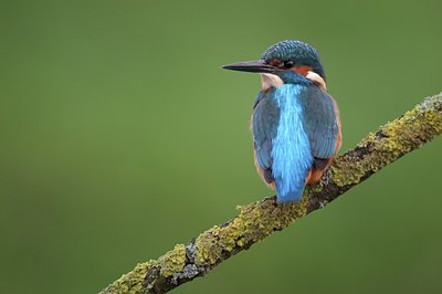 BUITEN BEELD Foto: 76745