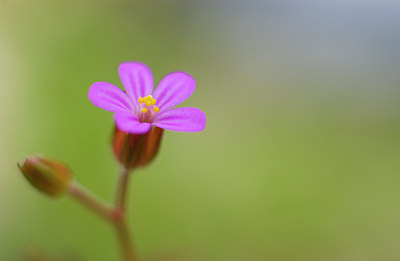 BUITEN BEELD Foto: 76768