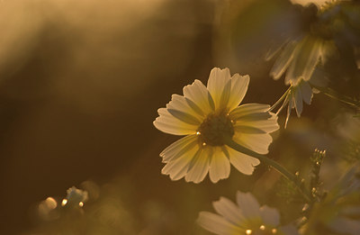 BUITEN BEELD Foto: 76769