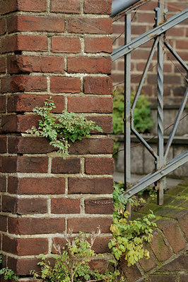 BUITEN BEELD Foto: 76843