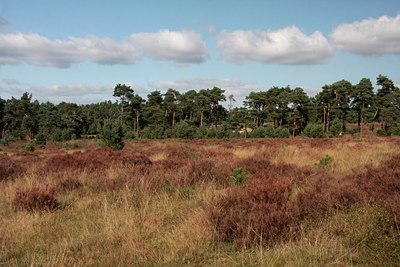 BUITEN BEELD Foto: 76881