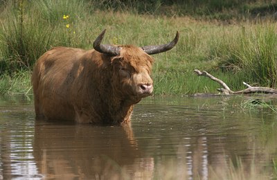 BUITEN BEELD Foto: 76966