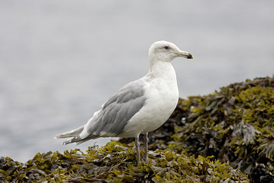 BUITEN BEELD Foto: 76973