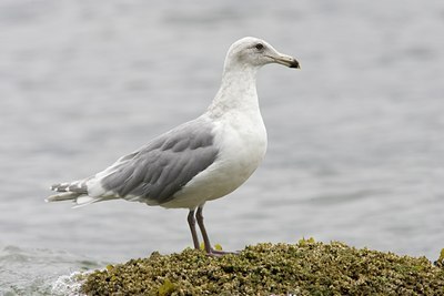 BUITEN BEELD Foto: 76977