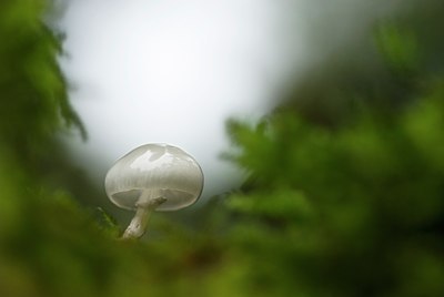 BUITEN BEELD Foto: 77001