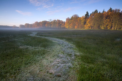 BUITEN BEELD Foto: 77021