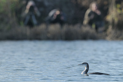 BUITEN BEELD Foto: 77033