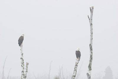 BUITEN BEELD Foto: 77040
