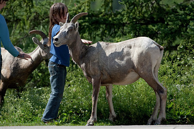 BUITEN BEELD Foto: 77054