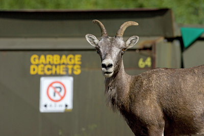 BUITEN BEELD Foto: 77060