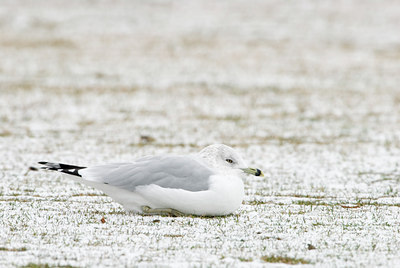 BUITEN BEELD Foto: 77086