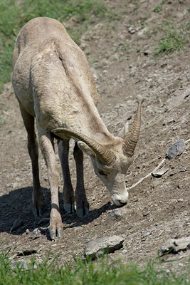 BUITEN BEELD Foto: 77127