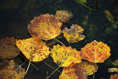 BUITEN BEELD Foto: 77149