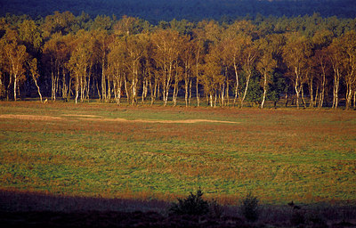BUITEN BEELD Foto: 77152